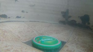 Как создать водоворот и объяснение этому