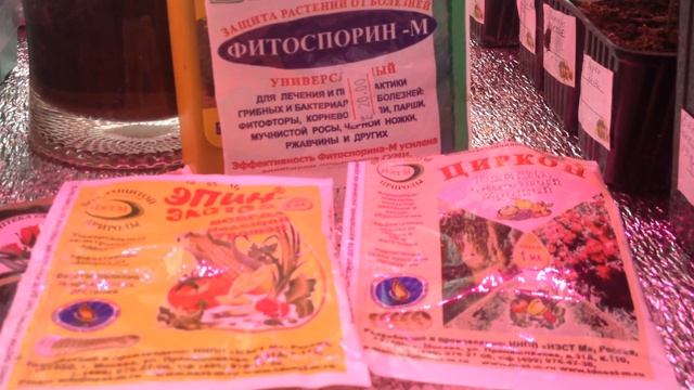 Надежные средства для обработки и подкормки рассады смотреть онлайн
