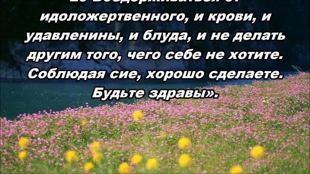 Тихое время с Живой Жизнью: Деяния 15:12–29 (12072018) смотреть онлайн