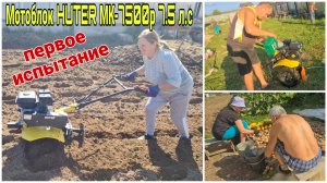 Наконец то купили Мотоблок 7.5 л.с. Выкопали картошку. Сделали Хреновину