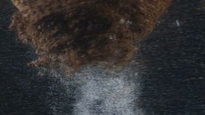 ♔ KORG S ♔ ✦ ОСТЫВШИЙ КОФЕ ✦ Sergey K ✦ Modern Beat ✦ (Korg Pa900) ✦