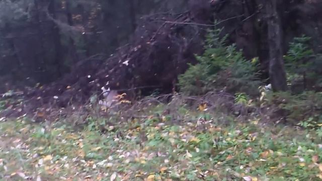 мои спортсменки))