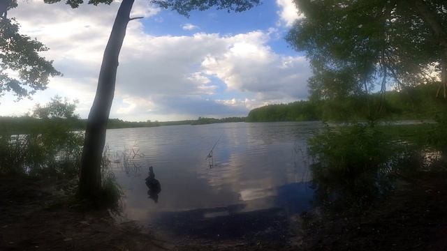 Шатура озеро Святое с палаткой (arpenaz 4.1) смотреть онлайн