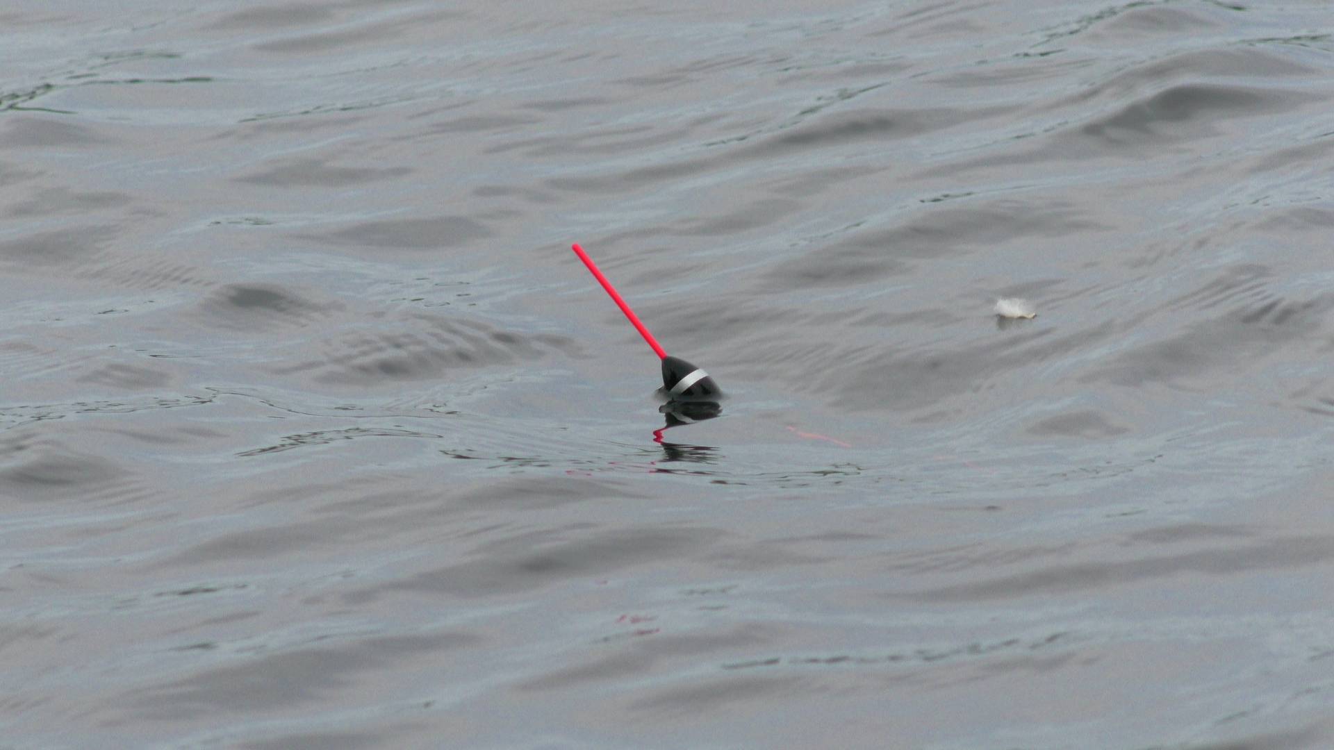 Рыбалка на поплавок. Только закинул и сразу положило поплавок смотреть онлайн