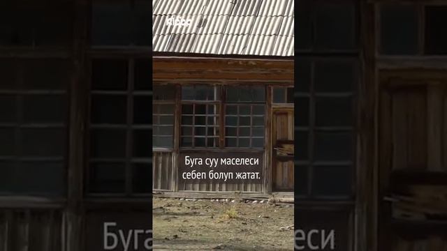 люди живут без воды🫨 смотреть онлайн