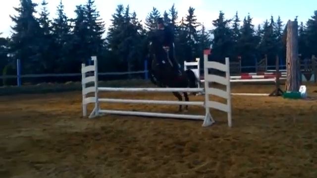 Landfee Haldensleben RT