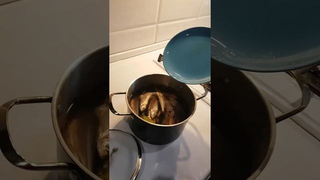 Кулинарные Эксперименты