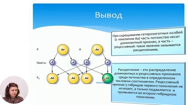 Биология, 9-й класс, II закон Г. Менделя смотреть онлайн