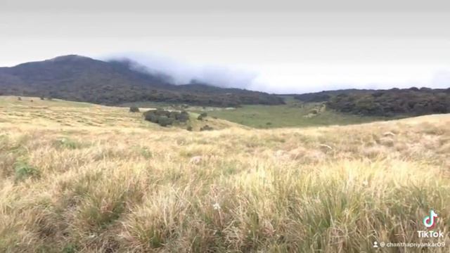 Horton plains смотреть онлайн