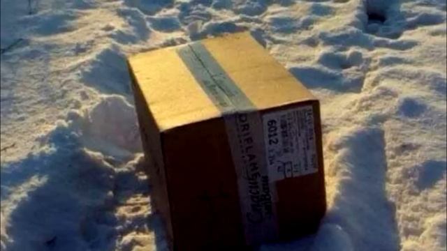 Кошка пришла в кафе просить помощи людей, ведь её новорождённые малыши замерзали на морозе смотреть онлайн