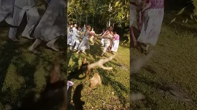 Финская полька (к.1) смотреть онлайн