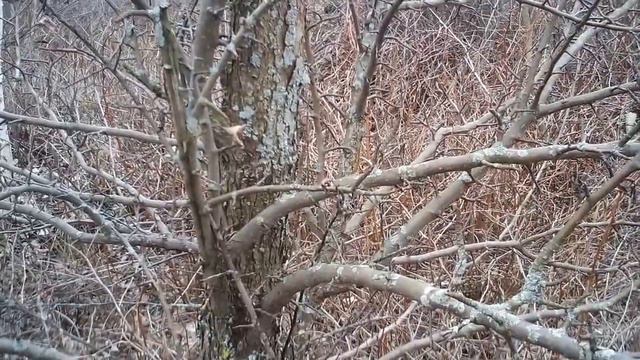 Про то,что будет происходить с моим каналом и какие на нём будут видео,а так же мн.др.Продолжение смотреть онлайн