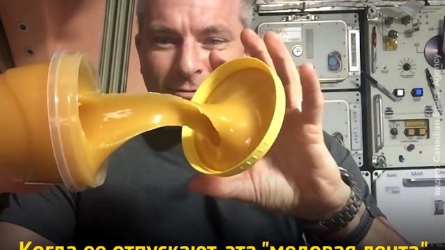 Космонавт показал, что происходит с медом в невесомости смотреть онлайн