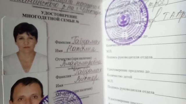 Зимний канал с забавными приключениями