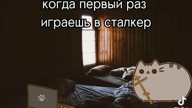 Когда первый раз играешь в Сталкера смотреть онлайн