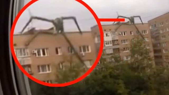 топ призраков без фотошопа смотреть онлайн