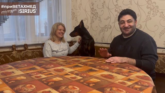 №9. Доберман смотреть онлайн