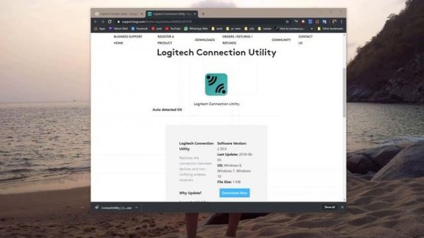 Re-Program your keyboard & mouse receiver with Logitech Connection Utility