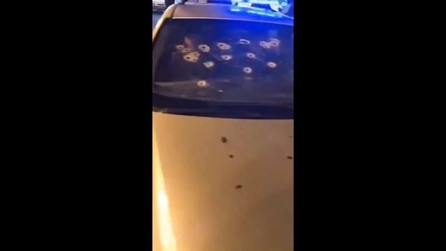 Закон каменных джунглей ZKD 3 третий сезон