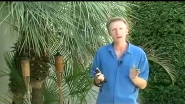 Электронный ошейник. Применять или нет?! Дон Салливан расскажет! смотреть онлайн