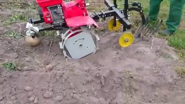 Уборка картофеля forte 105 (бензин) смотреть онлайн