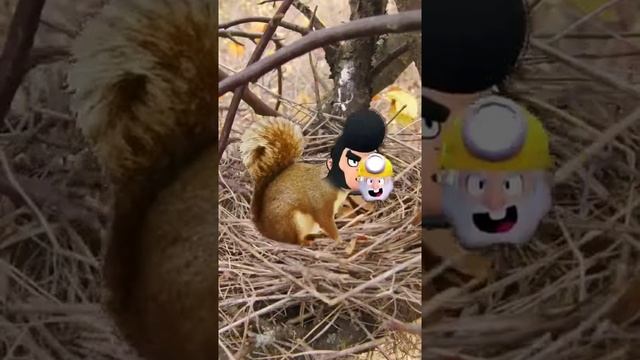 КАК МАМА НАМЕКАЕТ НА ТО ЧТО Я ЖИРНЫЙ смотреть онлайн