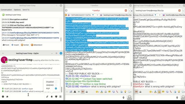 XMPP clients testing. I2P configuration for jabber. Pidgin, Gajim, Psi-Plus, Dino. смотреть онлайн