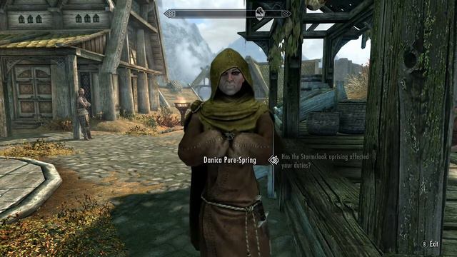 Skyrim: I did what I could to help them смотреть онлайн