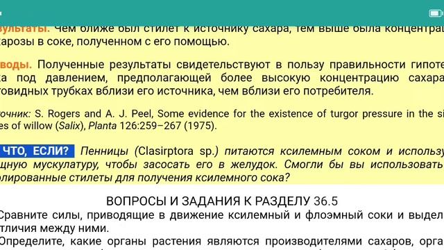 Эксперимент №42 из Campbell для ЕГЭ - Эвристика на тему флоэмы и ксилемы смотреть онлайн