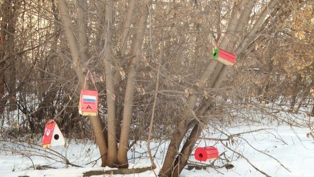 Новые кормушки для птиц от ХК "Автомобилист" смотреть онлайн