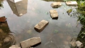 В ГАРАЖ РУЧЬЁМ ЛЬЁТСЯ ВОДА С УЛИЦЫ | ЧТО ДЕЛАТЬ? КАК РЕШАТЬ ПРОБЛЕМУ? | ДОХОДНЫЕ ГАРАЖИ #АССОЦИАЦИЯ