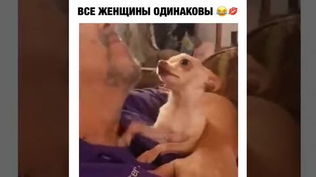 Смесь смотреть онлайн