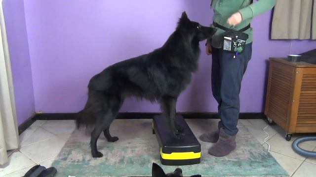 KPA Snake Avoidance: New Alert! смотреть онлайн