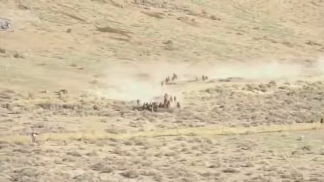 Дикие лошади америки смотреть онлайн