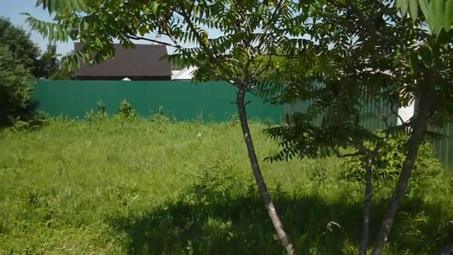 Сумах оленерогий смотреть онлайн