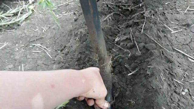 Упс-8 прямой сев кукурузы смотреть онлайн