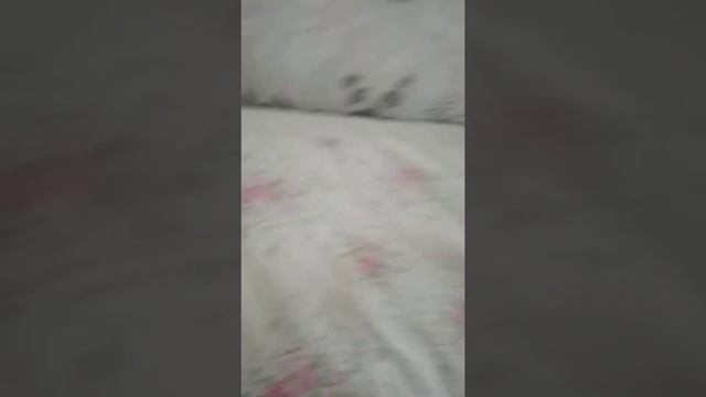 моя уточка заболела! 😨😷😱 смотреть онлайн