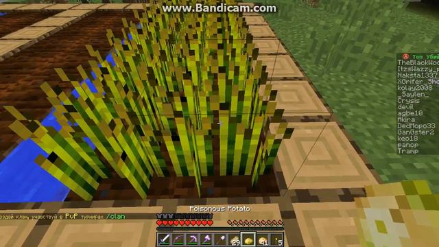 майнкрафт часть 1 посиделки в Козино смотреть онлайн