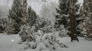 Футаж. Зимний пейзаж 73