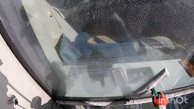 Котики на высоте.