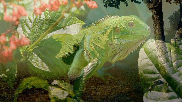 Самая красивая природа в мире подборка 1 показ слайдов 2015! смотреть онлайн