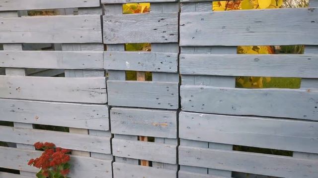 ДАЧИ У НЕМЦЕВ, ТУРКОВ И РУССКИХ, КАКИЕ ОНИ? ? смотреть онлайн