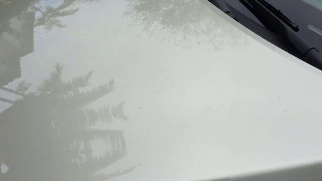 hyundai elantra car alarm смотреть онлайн