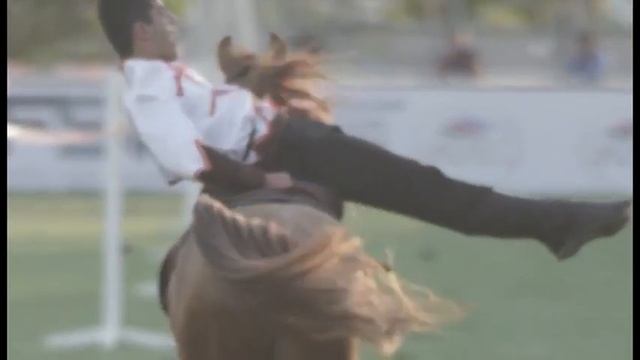 Золотые. по следам Карабахского скакуна. часть 3