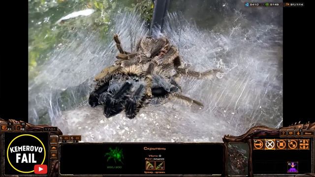 РЕАЛЬНЫЙ StarCraft - KEMEROVO FAIL смотреть онлайн