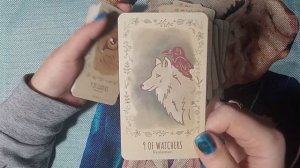 🐺Таро дикого волка/The Wild Wolf Tarot (реплика АлиЭкспресс). Обзор колоды