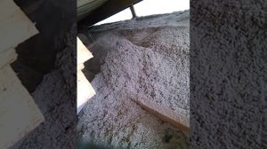 Задувка эковаты садовым пылесосом(1)