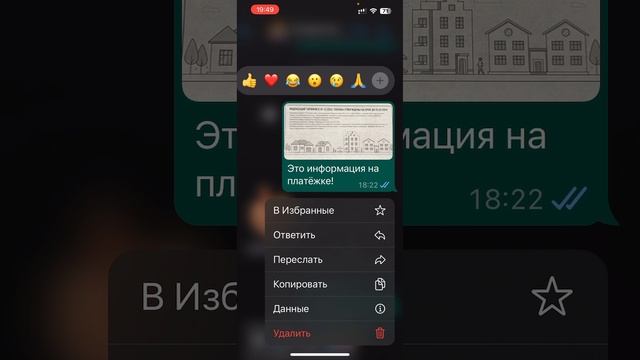 Как переслать с WhatsApp в Телеграмм фото или видео. смотреть онлайн