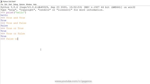 04-Python-Boolean Values, Boolean Operators and Comparison Operators смотреть онлайн
