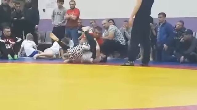 Хамид рыбински акула